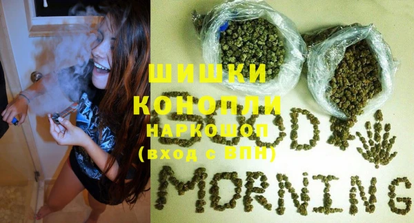стаф Володарск