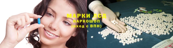 стаф Володарск